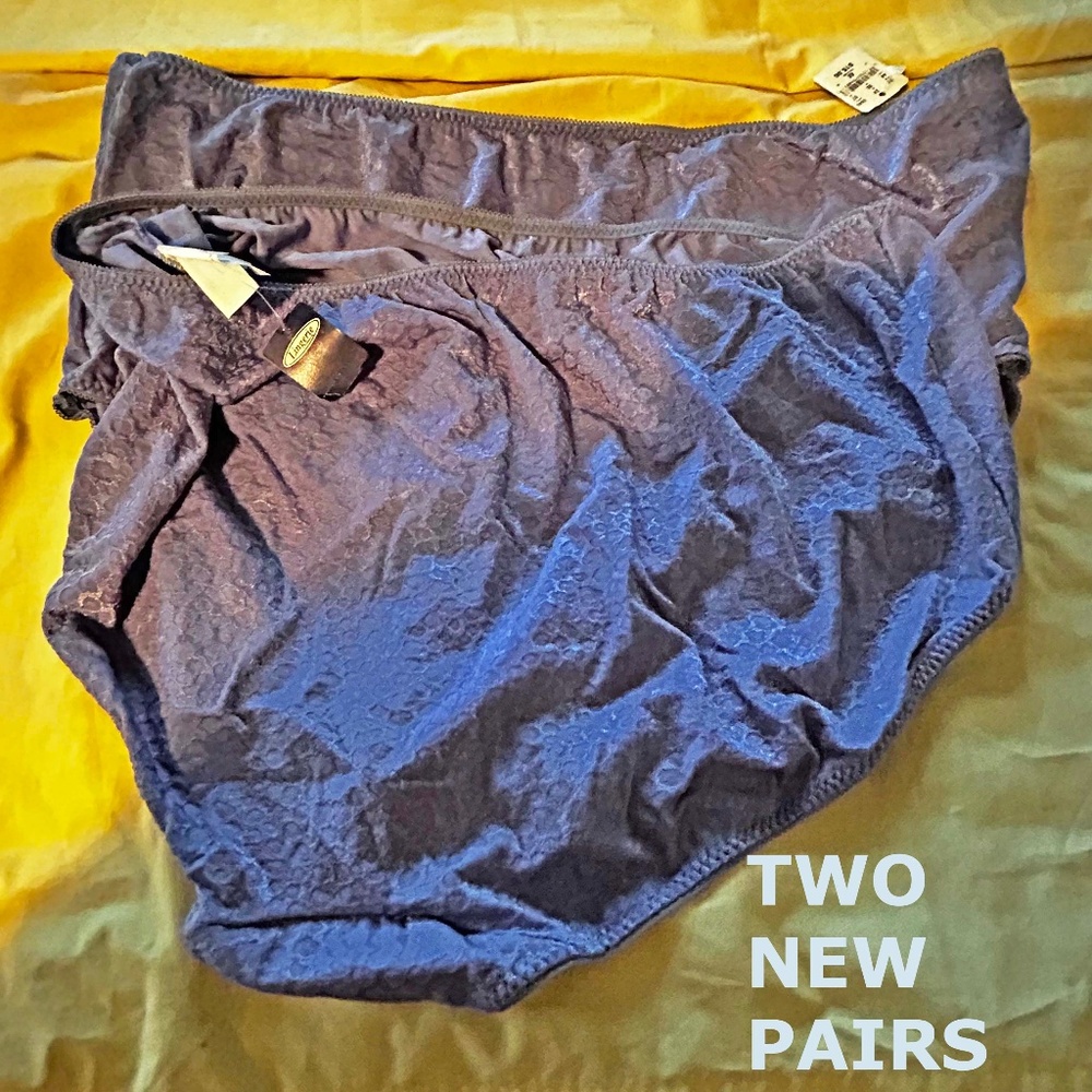 BRIEFS, 2 PAIR, NYLON LYCRA, PURPLE, SIZE 4X, ADDITION ELLE, TAGS ON, NEW NEVER